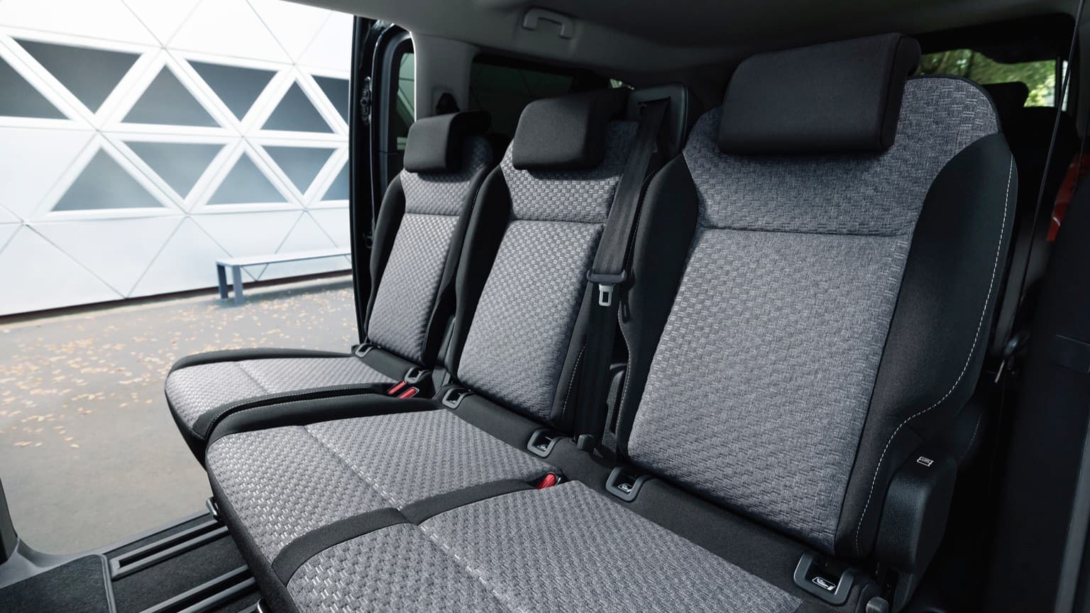 the back of a car seat