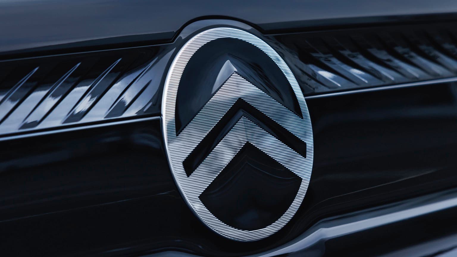 a close up of a logo