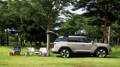 a car parked on grass near a tree