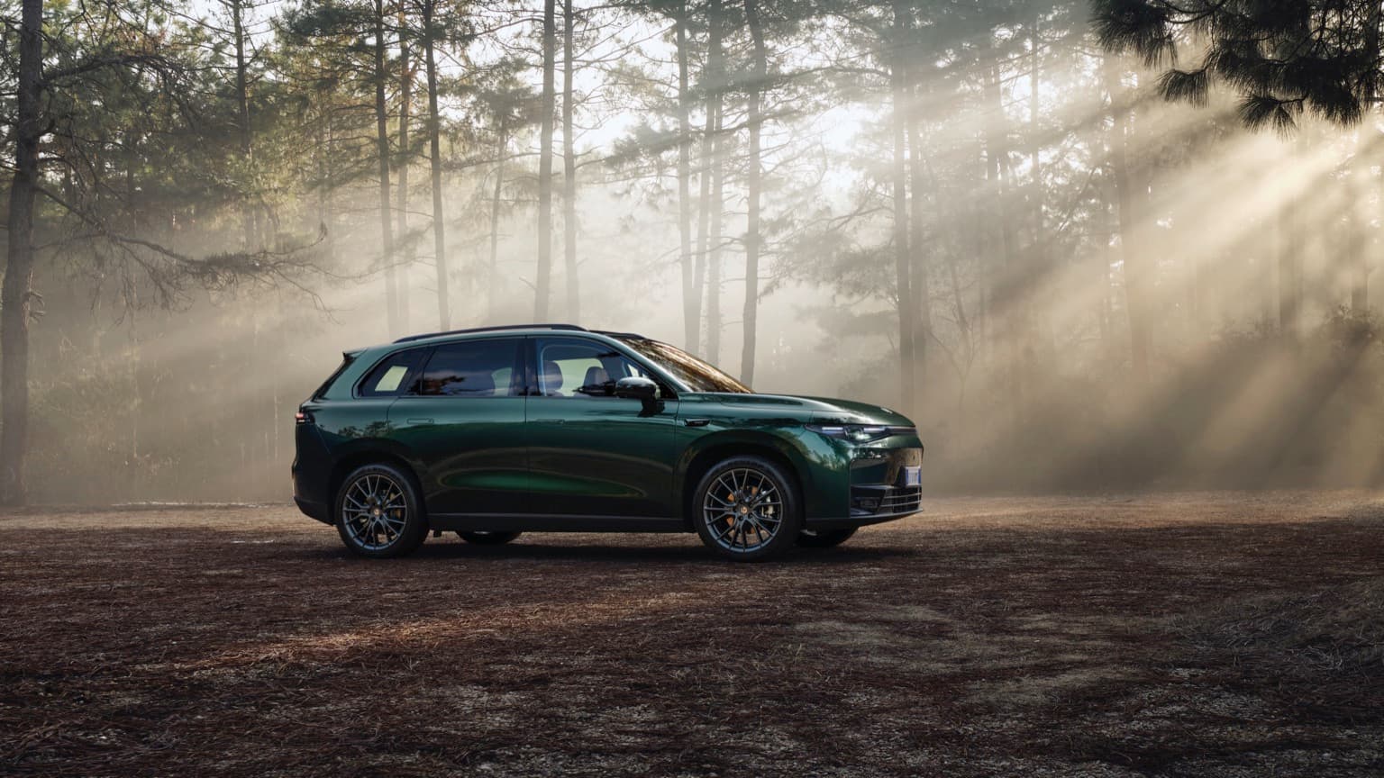 a car parked in a forest