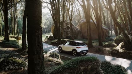 a car on a road in the woods