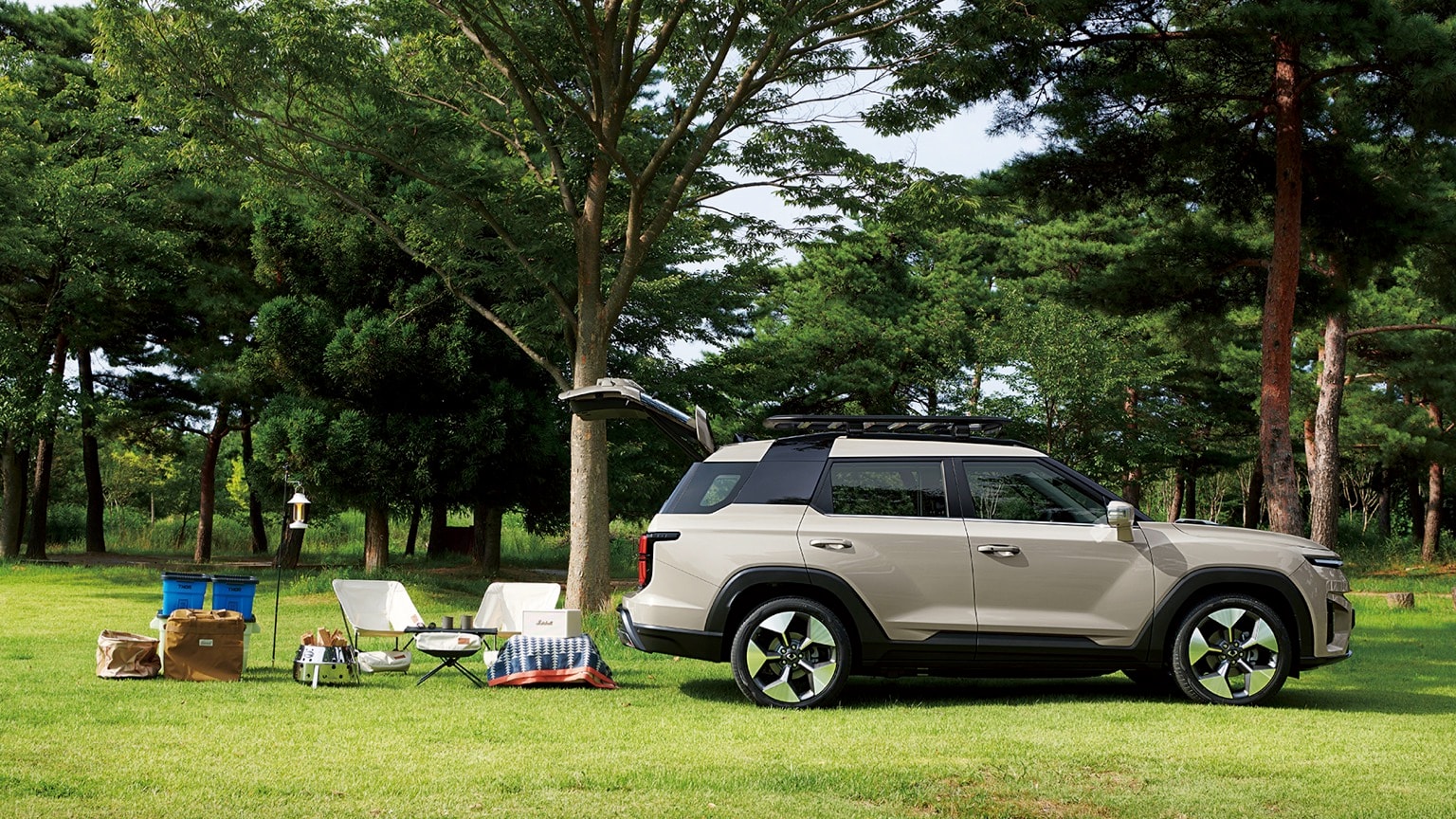 a car parked on grass near a tree